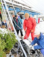 松の木などに電飾を施す委員会のメンバーら＝２１日、豊岡市竹野町のＪＲ竹野駅