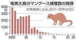 　奄美大島のマングース捕獲数の推移