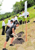 校庭の一角に被爆アオギリ３世の苗木を植樹する生徒と児童＝１７日、新温泉町桐岡の照来小