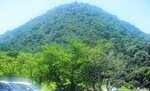 陸上競技場から見上げた打吹山。「伯耆の小富士」とも称される整った形の山である