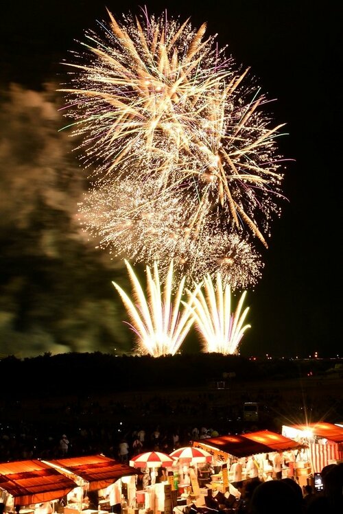 夜空に鮮やかに咲いた大輪の花火＝１５日夜、鳥取市の千代河原市民スポーツ広場