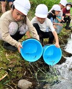 ヤマメの稚魚を放流する児童＝２０日、鳥取市国府町谷の袋川