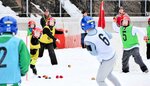 白熱した試合を繰り広げる参加者ら＝３日、香美町小代区忠宮の小代健康公園