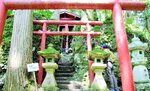 礫岩の巨石の間に立てられた瀞川稲荷神社の本殿。赤い鳥居と杉の大木が林立し、神秘的な雰囲気を漂わせる