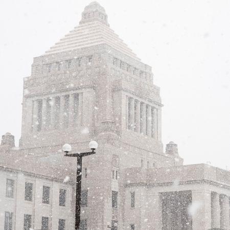 　雪が降る国会議事堂前＝１９日午前