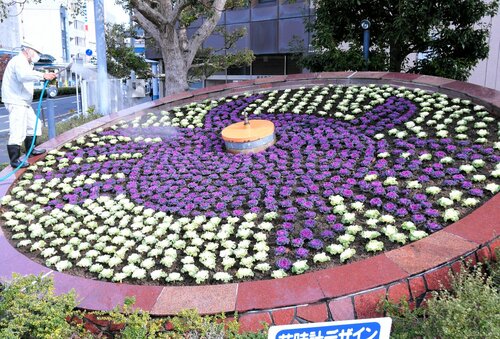 カニの模様に植え替えられた花時計＝２０日、ＪＲ鳥取駅前