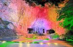 光のグラデーションで神秘的な光景が演出された玄武洞＝２０日夜、豊岡市赤石の玄武洞公園