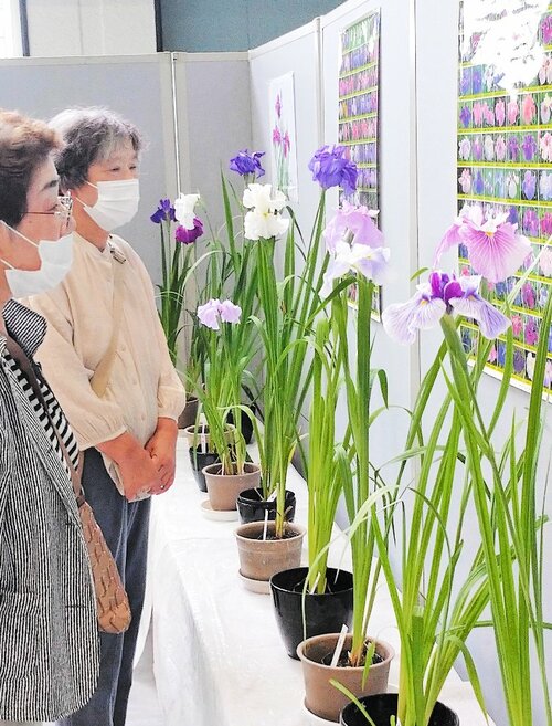 色とりどりの花が並ぶ会場