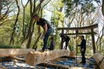 鳥居の建て替えへ、木を製材する「はつり」作業＝２０１８年４月19日、船上神社