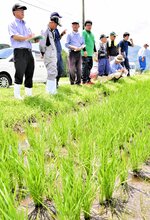 遠藤さん（左端）と一緒に水田の様子を観察する研究会のメンバー