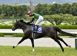 　昨年の宝塚記念を制したタイトルホルダー＝阪神競馬場