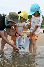 波の打ち寄せるタイミングで稚魚を放流する園児ら＝１７日、鳥取市の賀露みなと海水浴場
