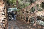 　架け替え工事が終わった「祖谷のかずら橋」の渡り初めをする人たち＝２月下旬、徳島県三好市