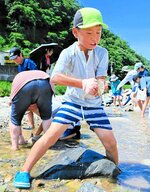 竹田地区を流れる天神川で魚のつかみ取りを楽しむ子ども