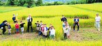 星形に育った稲の前でポーズを取るガイナーレ鳥取の選手と子どもたち＝１２日、倉吉市関金町大鳥居