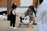 　「赤ちゃんミルクタイム」で、子ヤギにミルクを与える子ども＝東京都荒川区