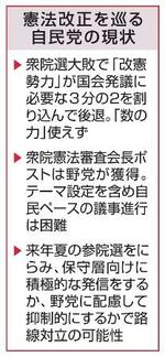 　憲法改正を巡る自民党の現状