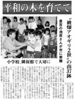 倉吉市内の小学校などに、被爆アオギリ二世の苗を贈る（２００２年８月30日）