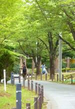 　緑豊かなめぐろ区民キャンパス＝東京都目黒区