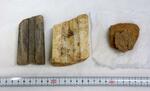 　吉野ケ里遺跡から見つかった、蛇紋岩（左）や石英斑岩（中央）でできた鋳型、右は取瓶か「るつぼ」とみられる土器＝４日午後、佐賀市
