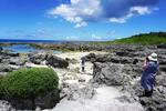 　島北部のビーチは、サンゴ礁が隆起してできた島ならではの光景が広がる＝鹿児島県喜界島