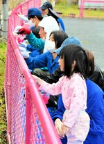 駅のフェンスにピンク色のペンキを塗っていく参加者ら＝２０日、智頭町大内の智頭急行恋山形駅