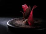 　ザ・リッツ・カールトン東京のフレンチレストラン「エリタージュ　バイ　ケイ　コバヤシ」の料理長・村島輝樹さんによる一皿（提供写真）