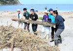 ４年ぶり開催となるトライアスロンの大会に向け、会場の大谷海岸を清掃する地元自治会の会員ら＝１９日、岩美町大谷の大谷海岸