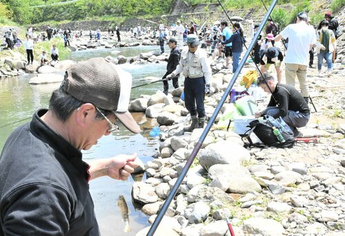 ヤマメ釣りを楽しむフェスタ参加者＝２６日、鳥取市国府町楠城の殿ダム親水広場