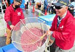 大釜で大量にゆで上げられたホタルイカ。来場者に無料で振る舞われた＝７日、新温泉町の浜坂漁港