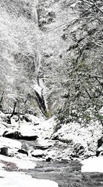 山間部では積雪があり、猿尾滝はすっかり雪化粧＝１４日、香美町村岡区日影