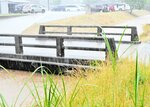 強く降り続ける雨で橋のすぐ下まで増水した宮谷川＝１日午前１１時ごろ、新温泉町芦屋