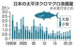 　日本の太平洋クロマグロ漁獲量