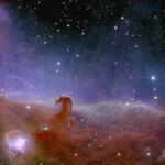　ユークリッド宇宙望遠鏡で撮影したオリオン座の馬頭星雲（ＥＳＡなど提供・共同）