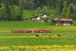 　オーストリア・北チロル地方を走るツィラータール鉄道（ゲッティ＝共同）