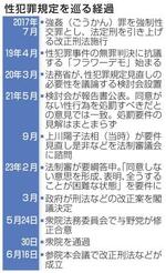 　性犯罪規定を巡る経過