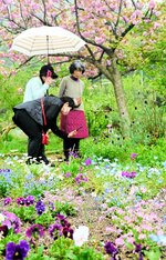 春の花が咲き誇る色鮮やかな庭の景色を楽しむ見物客＝２２日、香美町香住区訓谷