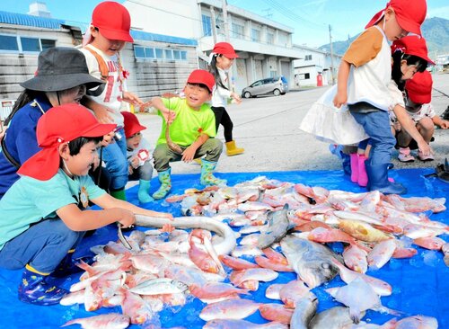 美保湾で取れた魚を手でつかんで喜ぶ園児たち