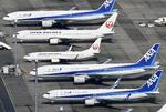 　羽田空港に駐機する全日空機と日航機＝２０２０年