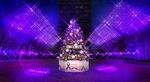 　宮下公園に飾られたクリスマスツリー＝東京・渋谷（提供写真）