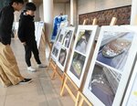 海洋ごみに関する展示を見る来場者＝１０日、境港市上道町の市民交流センター