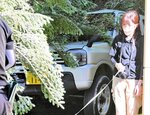 倒れたモミの木に押しつぶされた乗用車＝３日、鳥取市上町の鳥取東照宮の鳥居付近