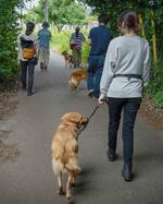 　保護犬と近所を散歩するキドックスの若者たち。毎日の日課だ＝２０２４年５月、茨城県つくば市