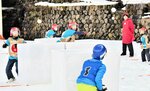 雪玉を投げ合う子どもたち＝２０１９年２月２日、若桜町若桜のふれあい広場