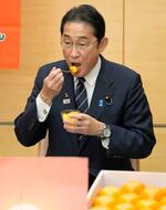 　「奈良の柿ＰＲレディ」から贈られた奈良県産の柿を試食する岸田首相＝１日午後、首相官邸