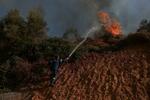 　ギリシャの首都アテネ近郊で、山火事の消火に当たる消防士＝１２日（ロイター＝共同）