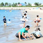 海水浴を楽しむ家族連れら＝３０日午後３時半ごろ、鳥取市賀露町の賀露みなと海水浴場