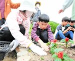 地域住民に教えてもらいながら、サルビアの苗を植える児童