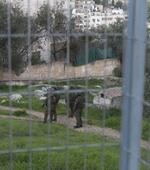 　投石防護柵に囲まれたイッサ・アムロの自宅周辺をパトロールするイスラエル兵士ら。ヨルダン川西岸ヘブロン旧市街は２４時間体制で厳重警備されている＝２０２４年２月（撮影・ムカハル・ラジャエ、共同）