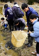 水路を網ですくい生き物を探す子どもたち＝８日、八頭町見槻